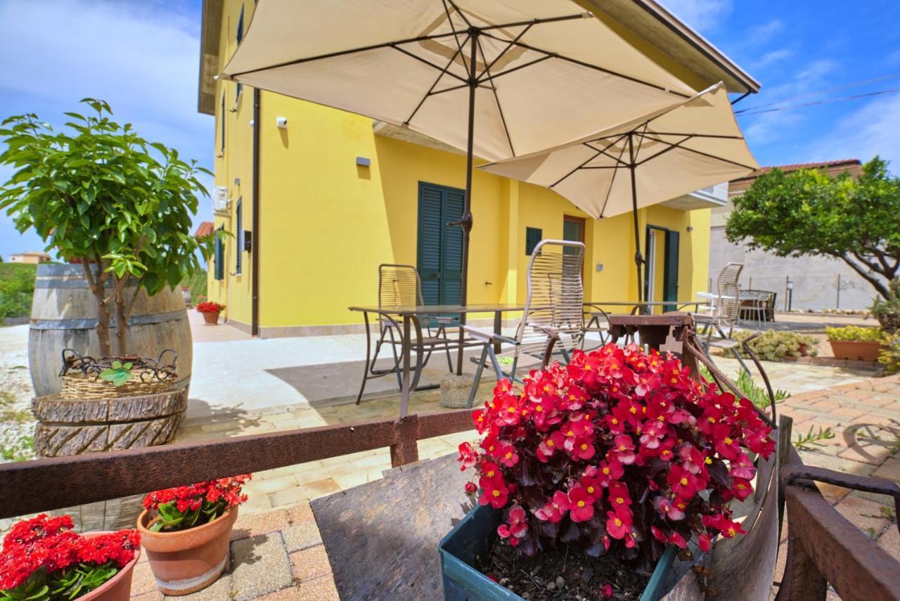 La Casa Del Vino - B&B Tollo Exterior photo