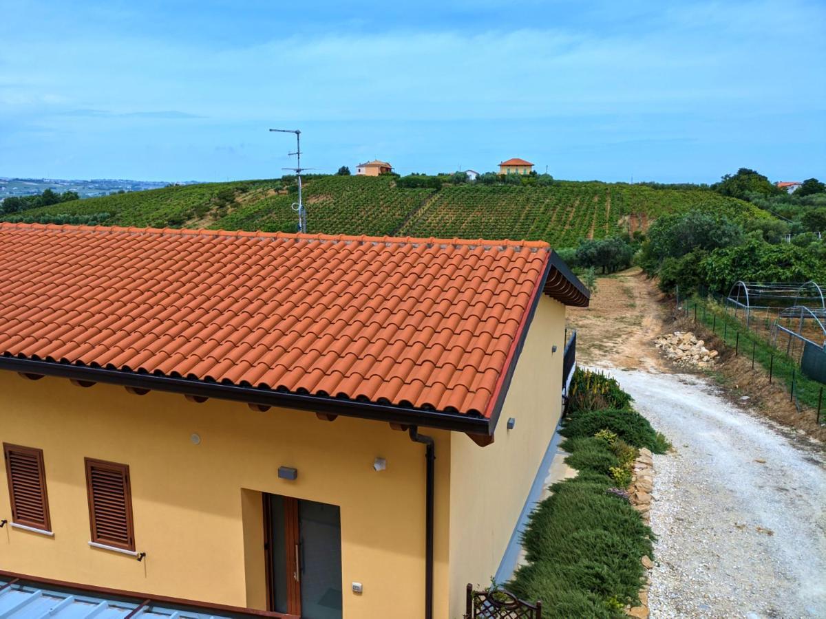 La Casa Del Vino - B&B Tollo Exterior photo